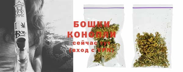 шишки Майский