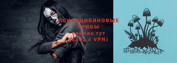 стафф Липки