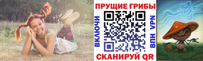 Галлюциногенные грибы мицелий  купить наркоту  Шиханы 